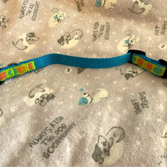 Small Dog Collar NWOT - Picture 3 of 5